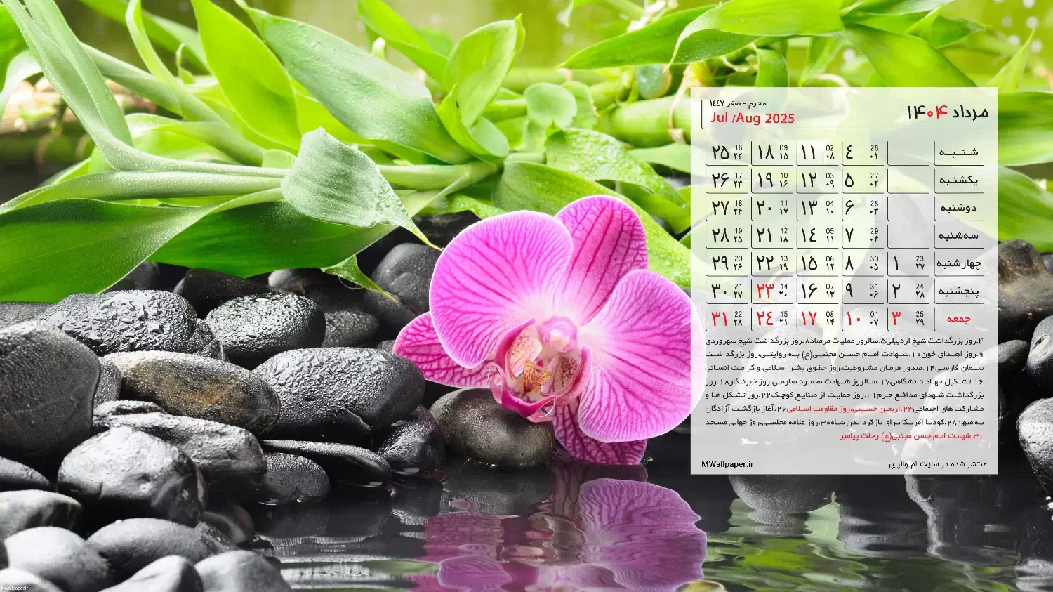 آوین دکور آقای کیوانی|اشیا|تهران, حبیب الله|دیوار