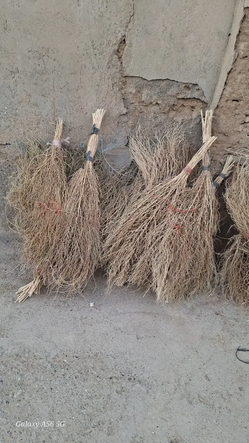 جارومحلی|لوازم نظافت|شال, |دیوار