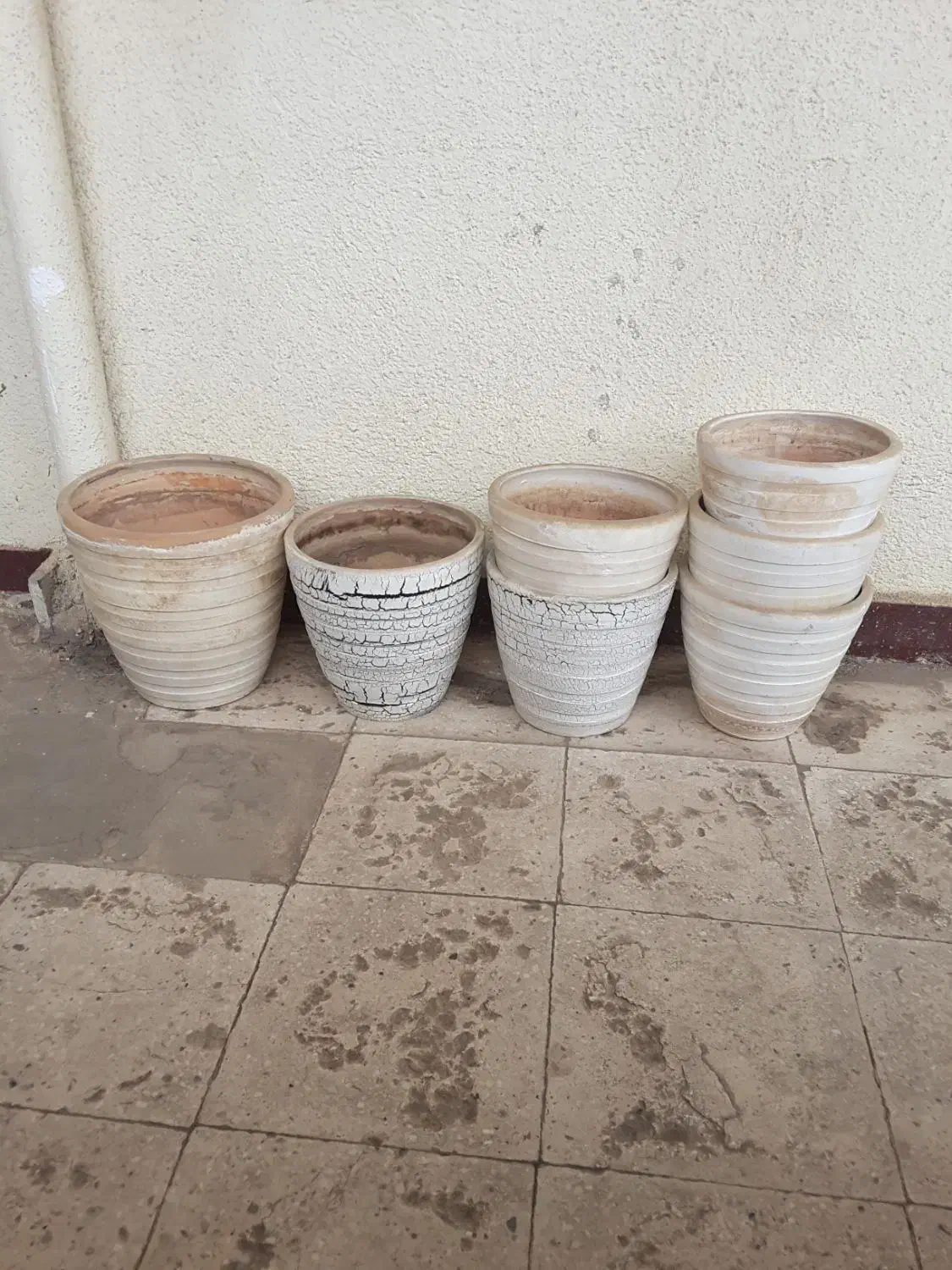 گلدان سفالی|گل و گیاه طبیعی|تهران, قصر فیروزه ۲|دیوار