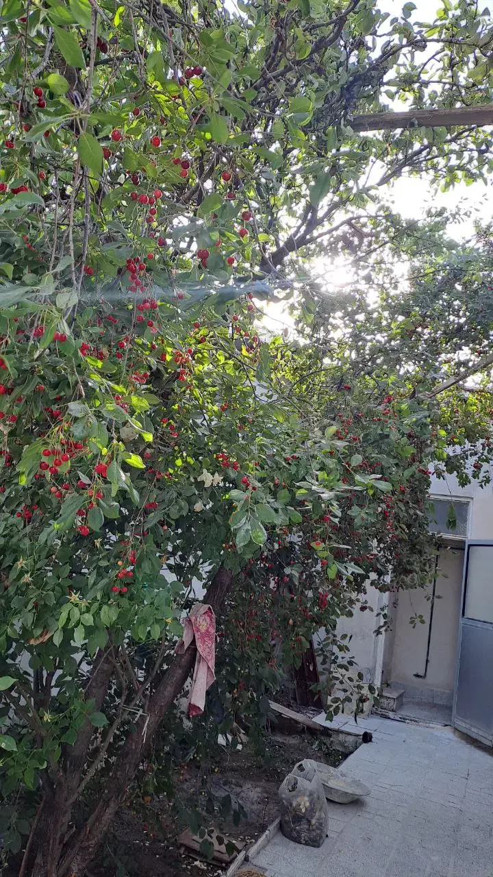 ۱۵۰ متر ویلایی حیاط دار|اجارهٔ خانه و ویلا|خلخال, |دیوار