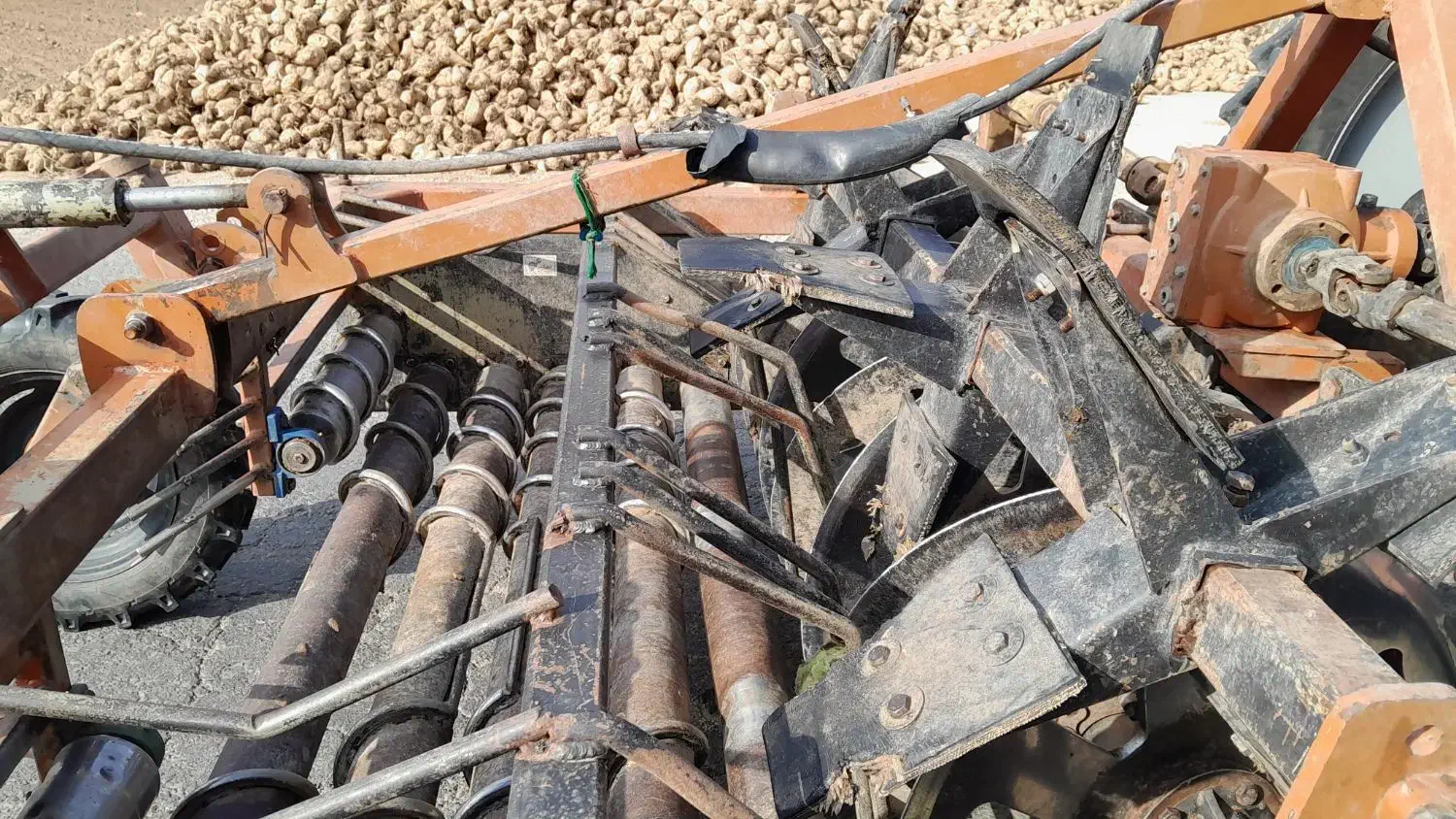 چغندر کند|ماشینآلات صنعتی|حمیل, |دیوار