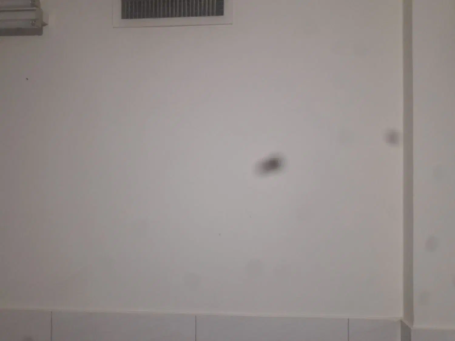 گچکاری گچوخاک وسفید کاری|خدمات پیشه و مهارت|اصفهان, گرکان|دیوار