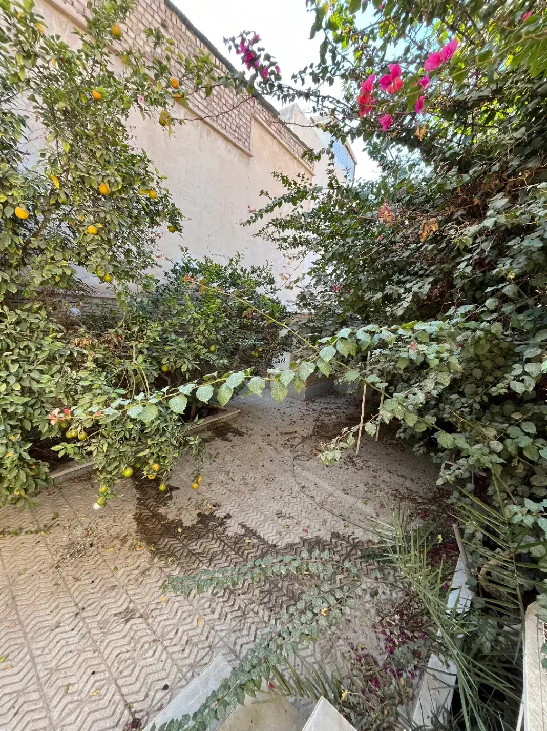 منزل ۳خواب/دربست/امیرکبیر خیابان نواب|اجارهٔ آپارتمان|کاشان, سه راه پرورشگاه|دیوار