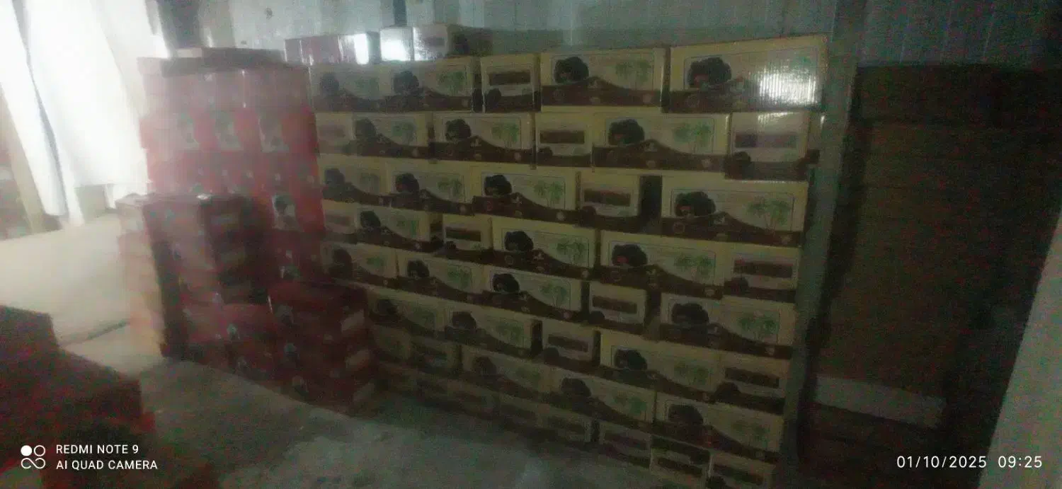 خرمای تازه  دو ردیف و سه ردیف|خوردنی و آشامیدنی|سیب و سوران, |دیوار