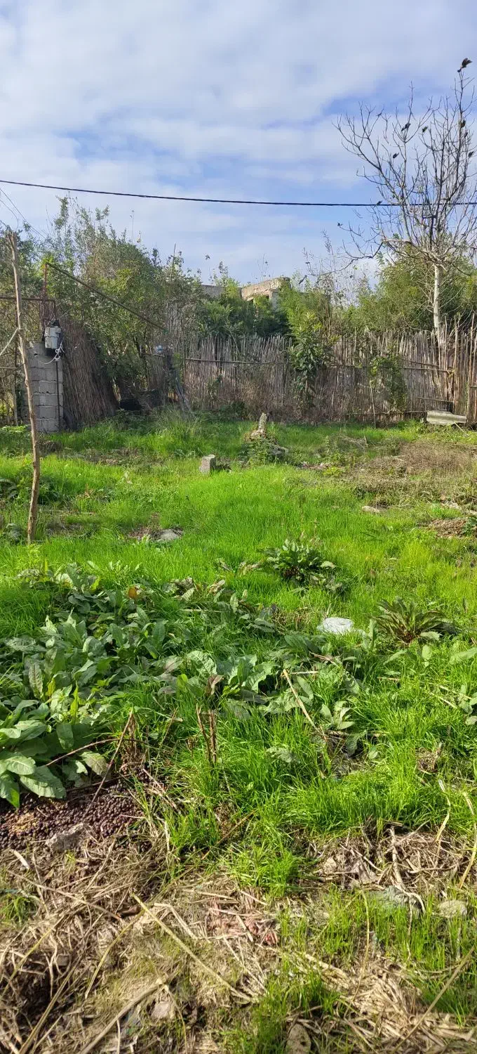 زمین ۲۰۰ متری خوش قیمت|فروش زمین و ملک کلنگی|رودبنه, |دیوار