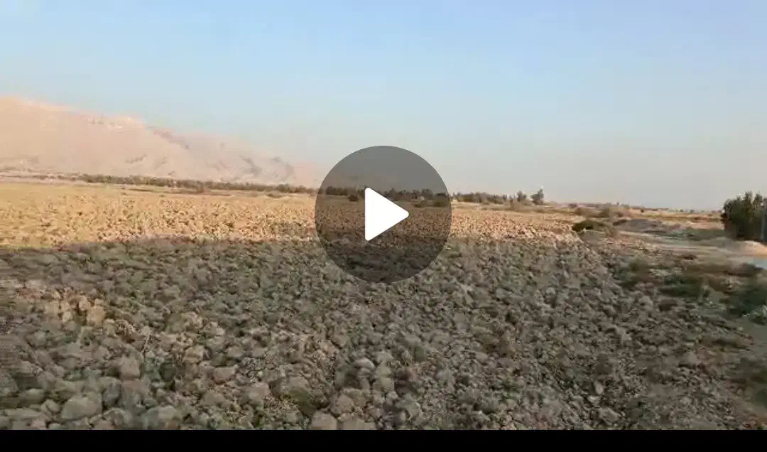 اجاره زمین کشاورزی دارالمیزان|اجارهٔ دفتر صنعتی، کشاورزی، تجاری|اسیر, |دیوار