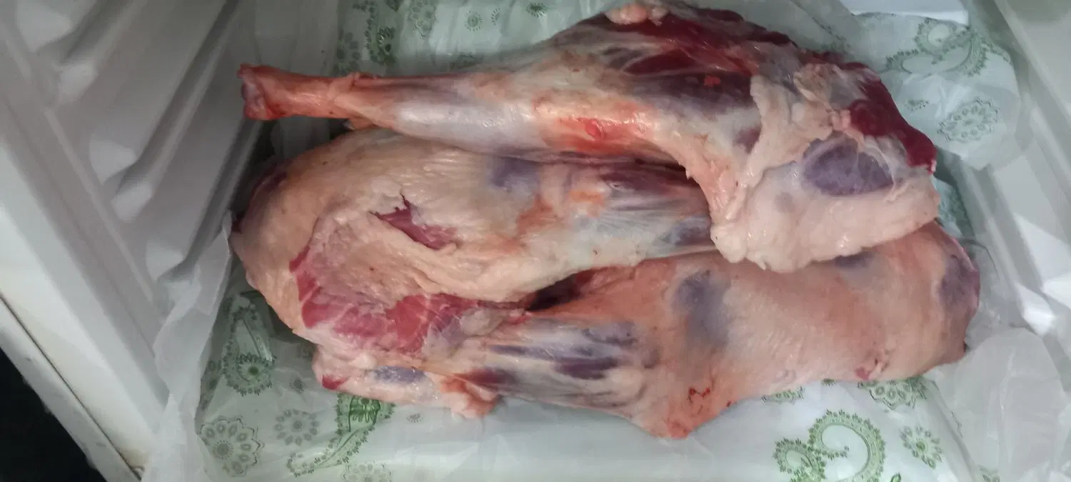 گوشت بره|خوردنی و آشامیدنی|بجنورد, |دیوار