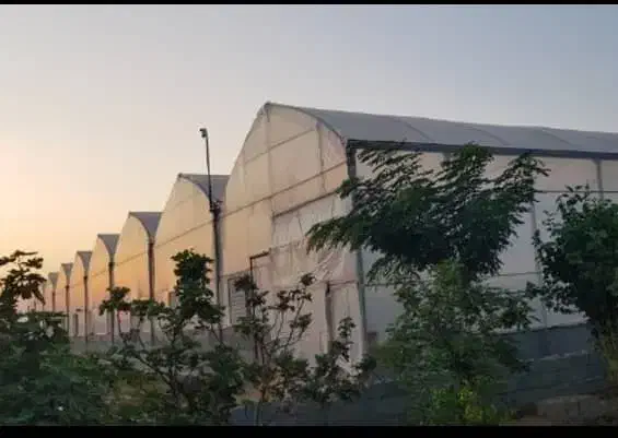 فروش ۱ هکتار زمین کشاورزی همراه با گلخانه|فروش دفتر صنعتی، کشاورزی، تجاری|شوشتر, |دیوار