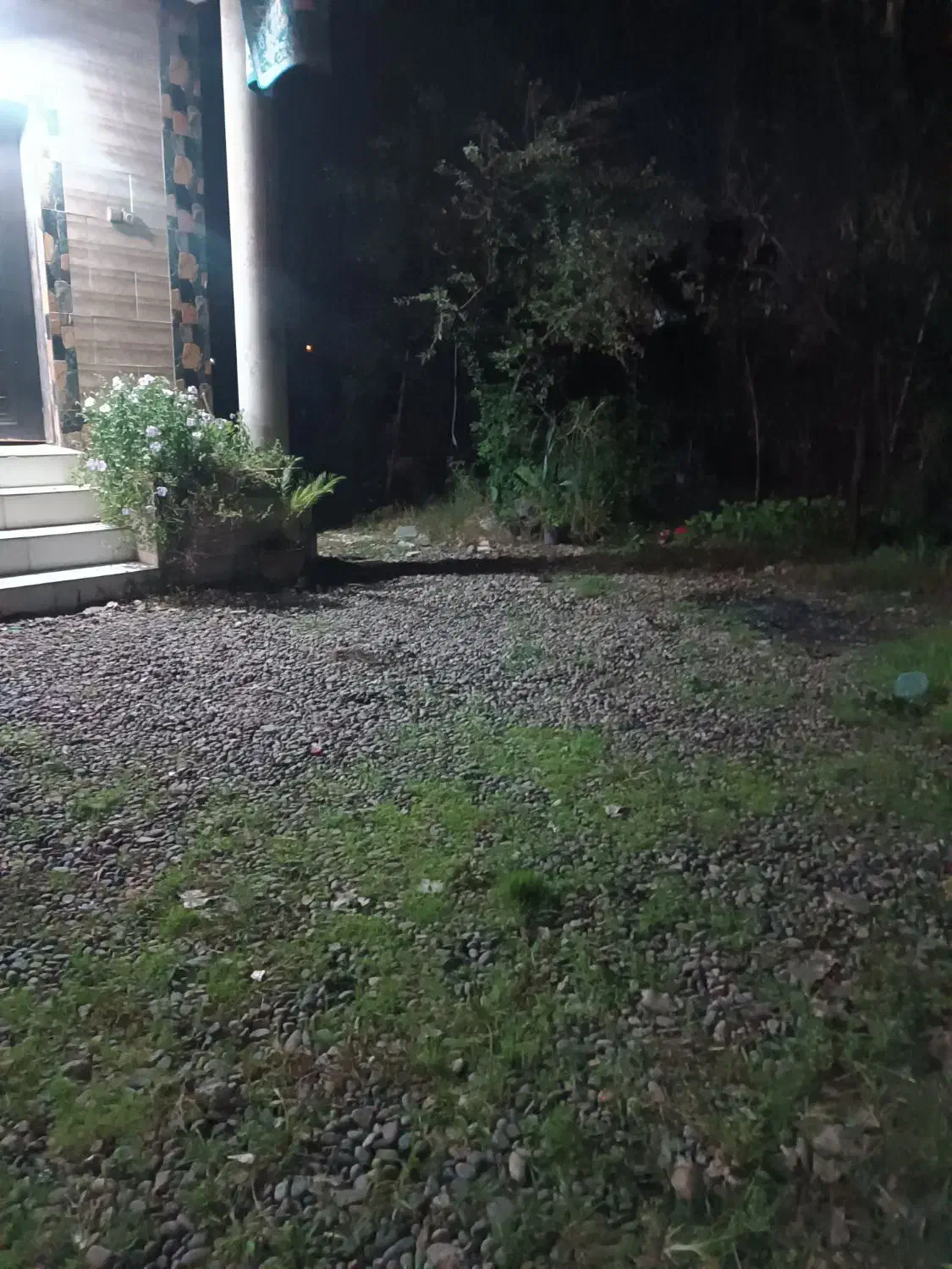 رهن و اجاره|اجارهٔ خانه و ویلا|کیاشهر, |دیوار