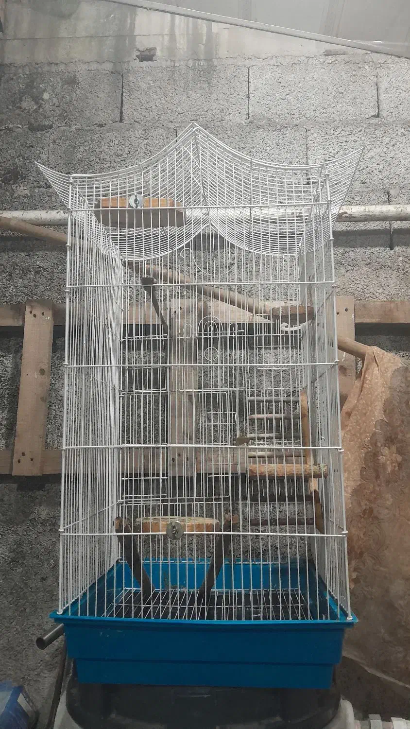 قفس .|لوازم جانبی حیوانات|رشت, حومه رشت|دیوار