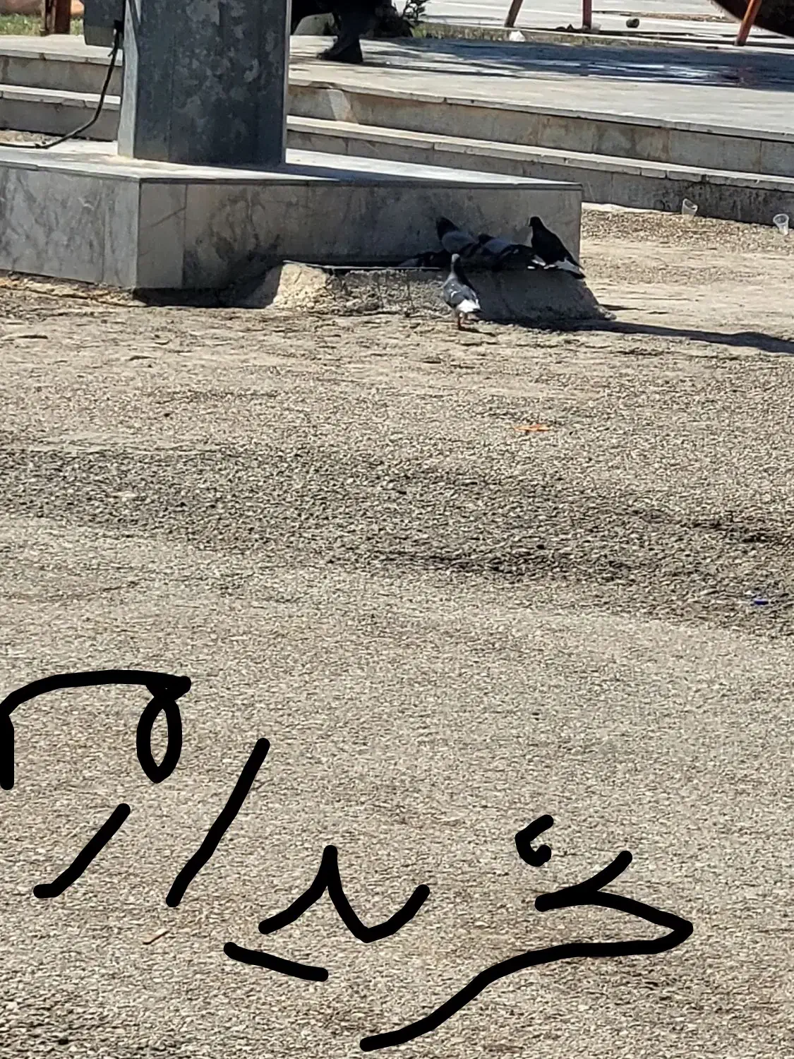 وام|فعالیت داوطلبانه تحقیقاتی|ایلام, |دیوار