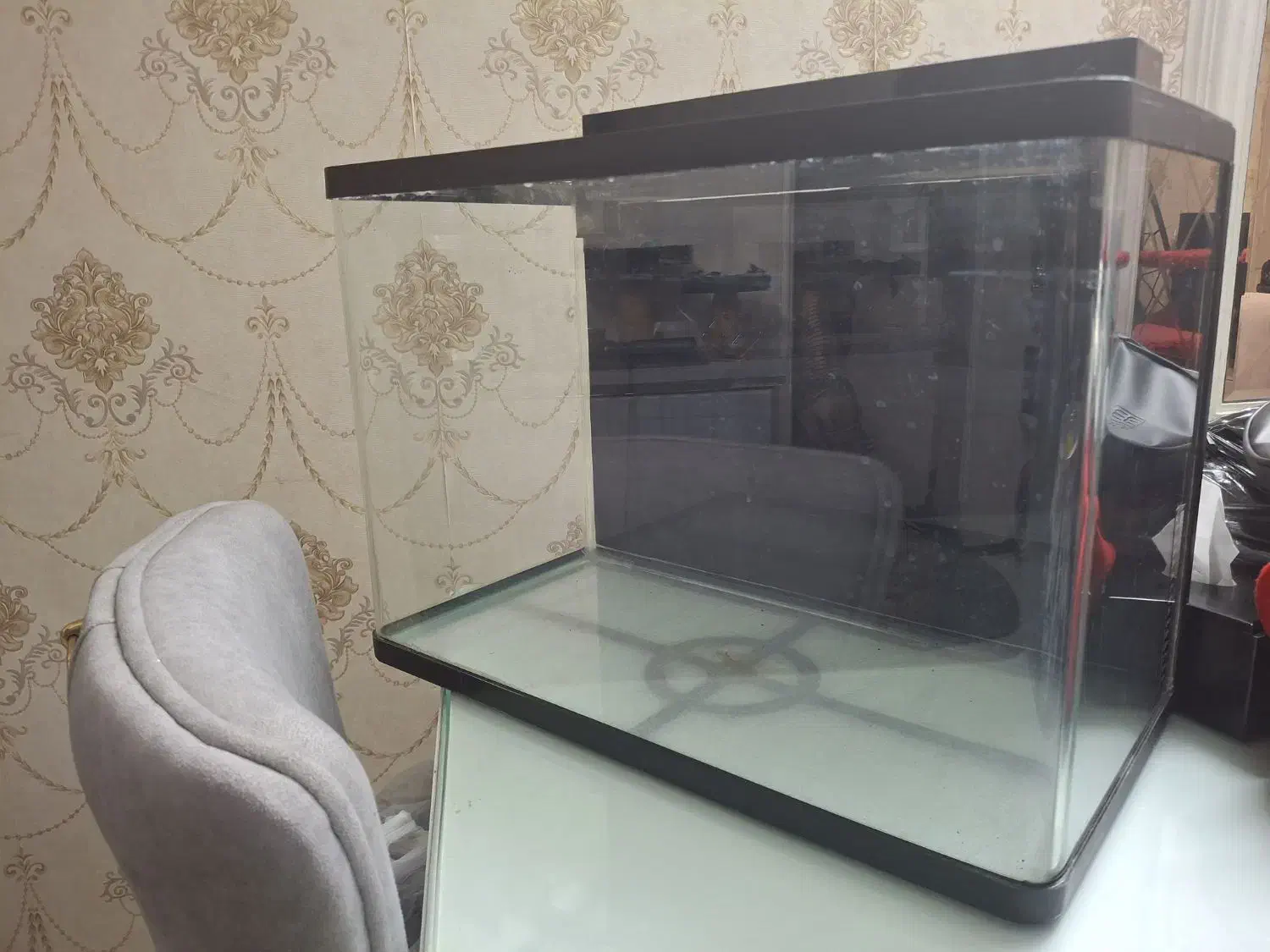 آکواریوم k580 دلسا با وسایل|ماهی|ری, دولتآباد|دیوار