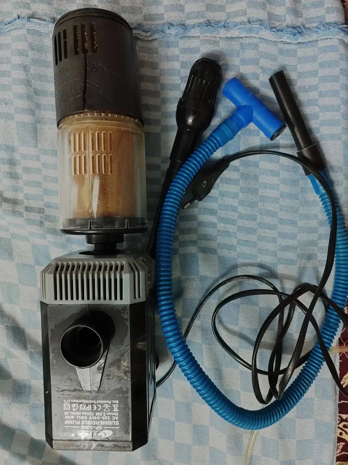 وسایل آکواریوم و ماهی کالر ارزان|ماهی|اردبیل, |دیوار