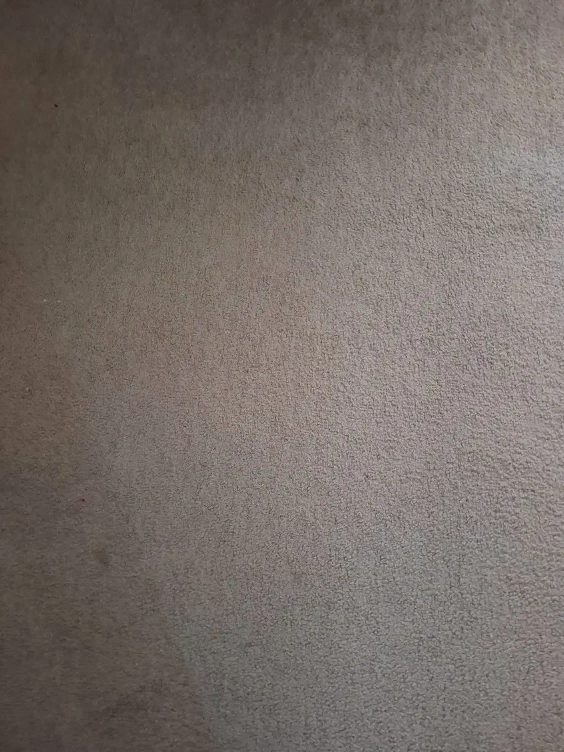 پالاز موکت رنگ توسی روشن 45 متر|موکت|همدان, |دیوار