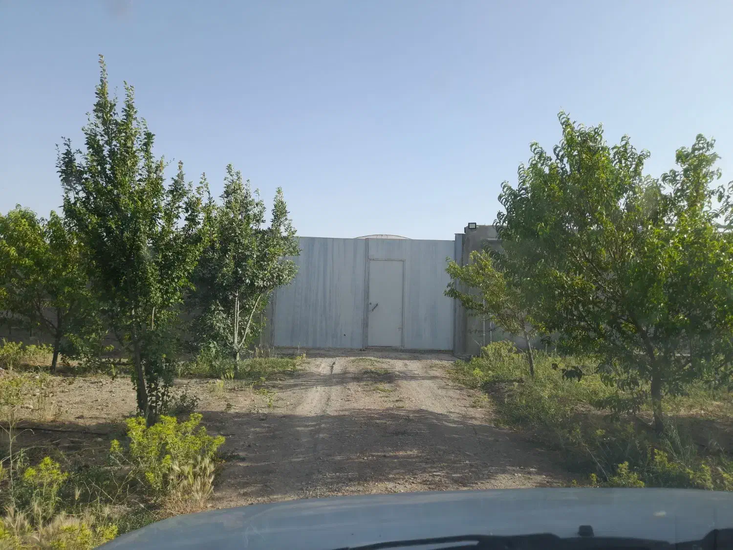 گلخانه ۲۰۰۰ متری جاده سراب نیلوفر|فروش دفتر صنعتی، کشاورزی، تجاری|کرمانشاه, |دیوار