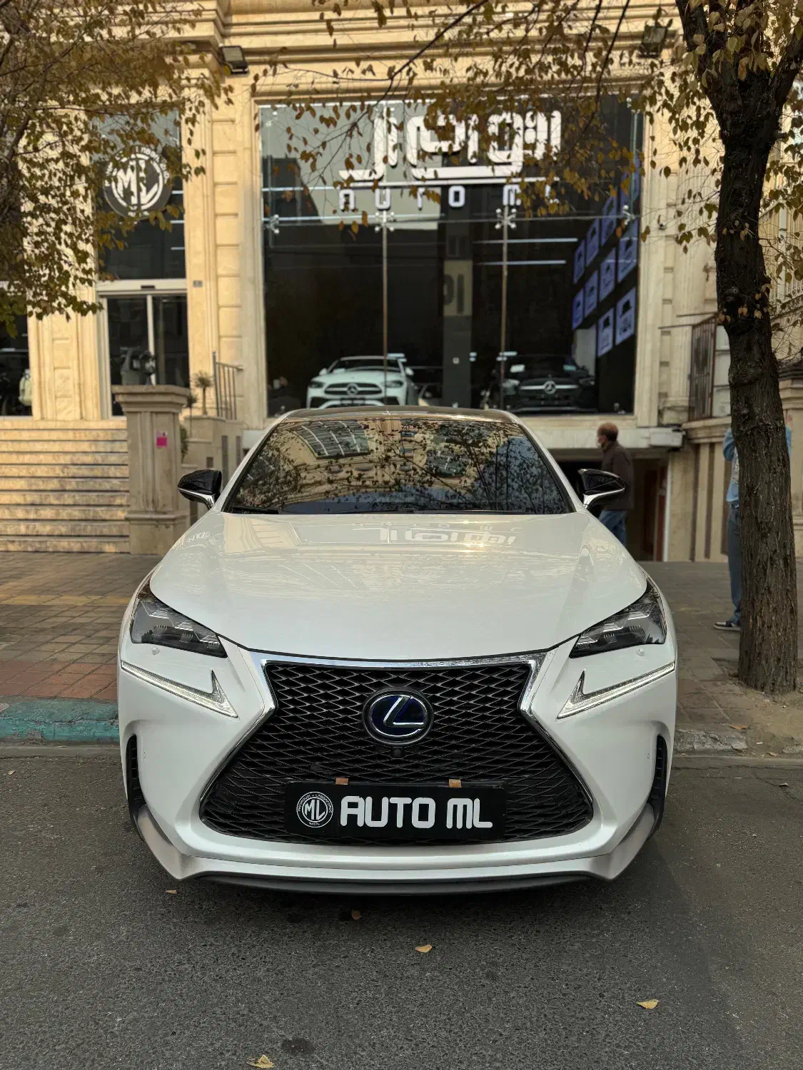 لکسوس nx300|خودرو سواری و وانت|تهران, درختی|دیوار