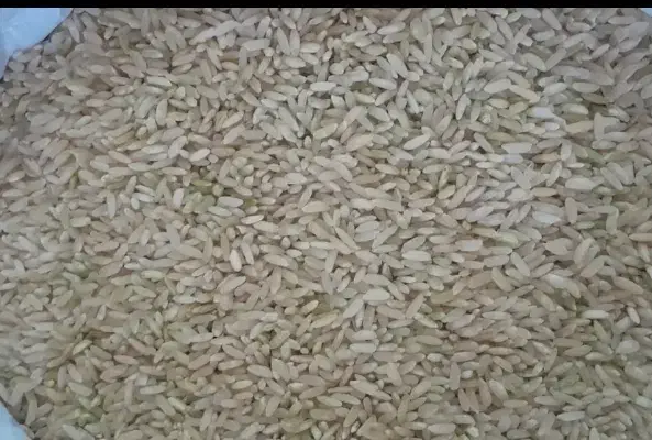 فروش برنج چمپا تازه سفید شده|خوردنی و آشامیدنی|یاسوج, |دیوار