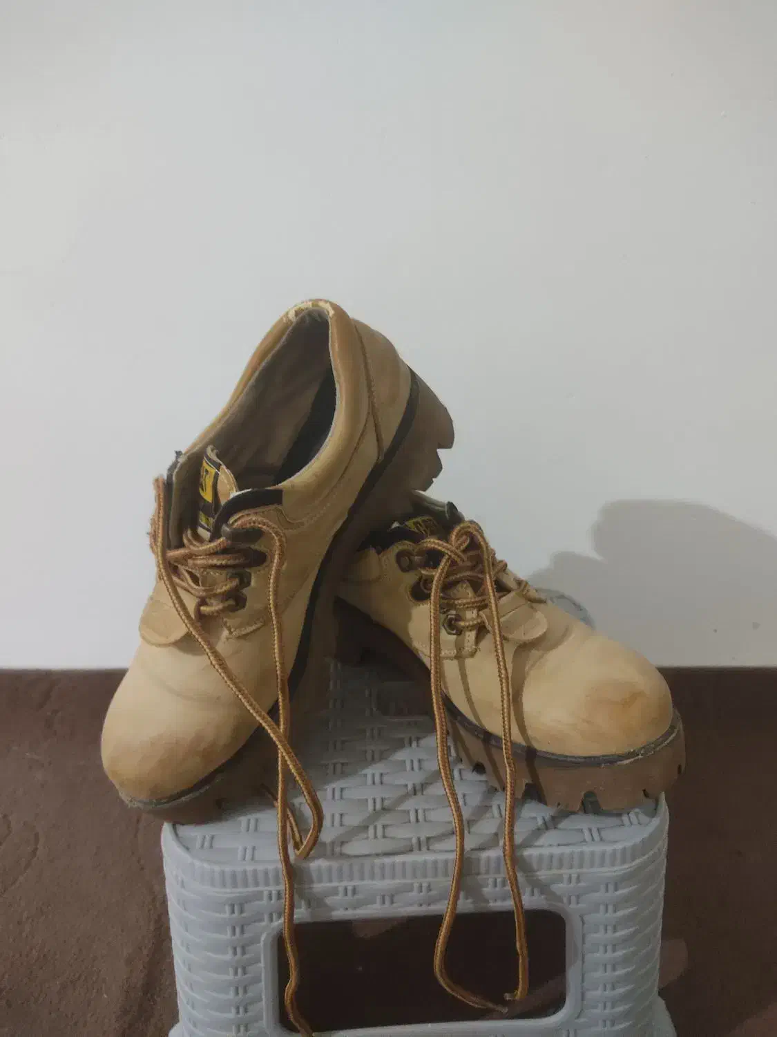 کتونی چرم|کیف، کفش، کمربند|مینودشت, |دیوار