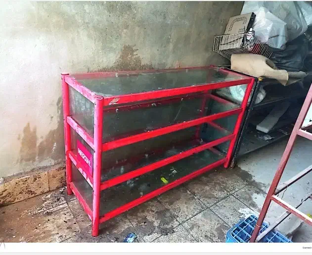 یخچال ایستاده ویترین|فروشگاه و مغازه|شیراز, سفیرشمالی|دیوار