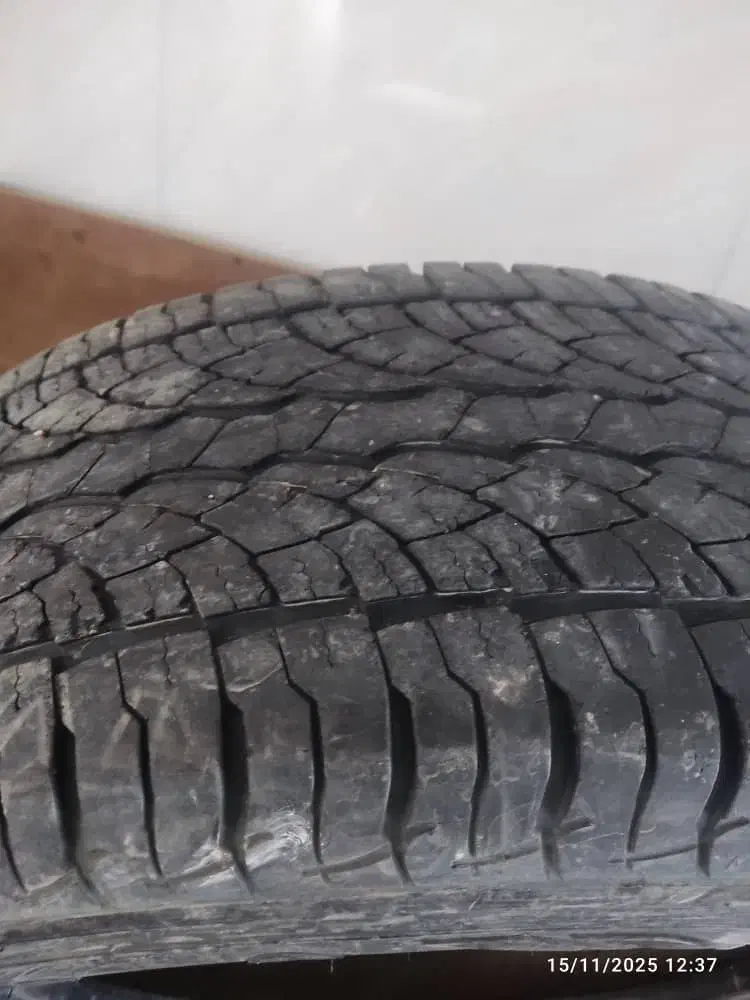 لاستیک خودرو|قطعات یدکی و لوازم جانبی|سلماس, |دیوار