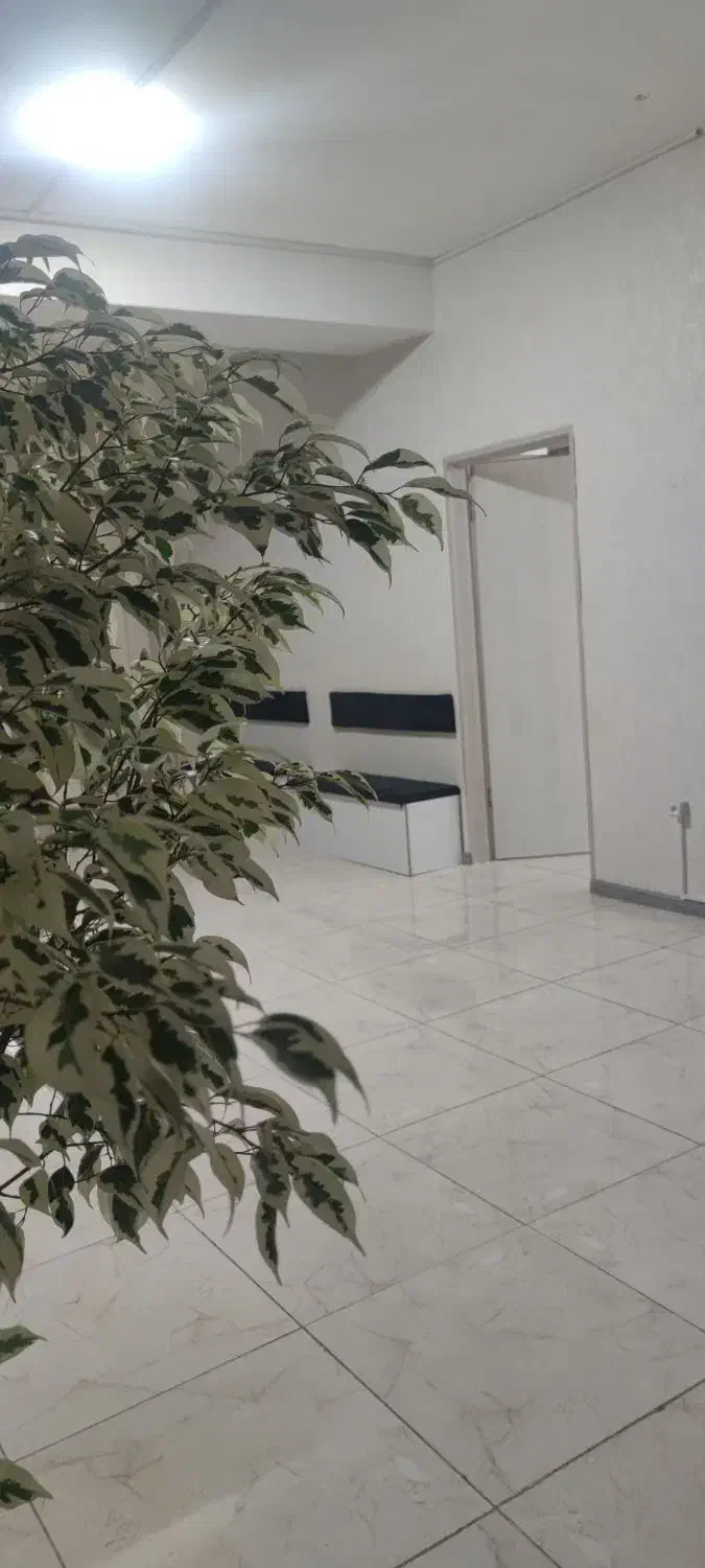 اجاره دفتر کار بوسار|اجارهٔ دفتر کار، اتاق اداری، مطب|رشت, بوسار|دیوار