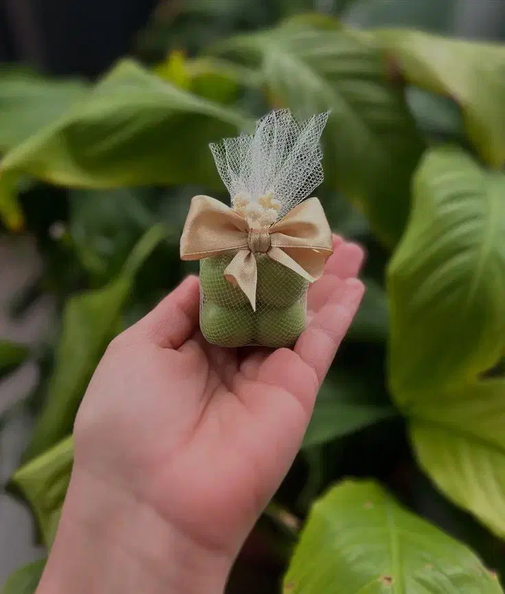 گل شمعی|گل مصنوعی|مشهد, ولیعصر (شهرک غرب)|دیوار