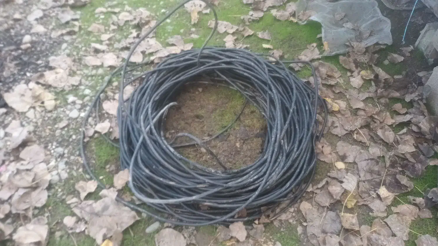 کابل ۲در۶ مفتولی|مصالح و تجهیزات ساختمان|اسالم, |دیوار