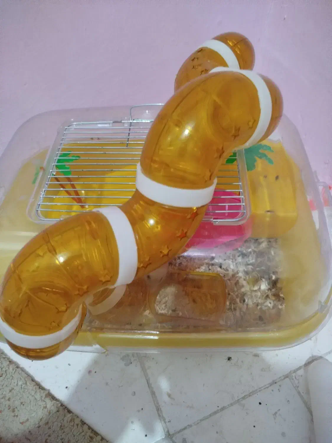 همستر|موش و خرگوش|محمدیه-قزوین, |دیوار