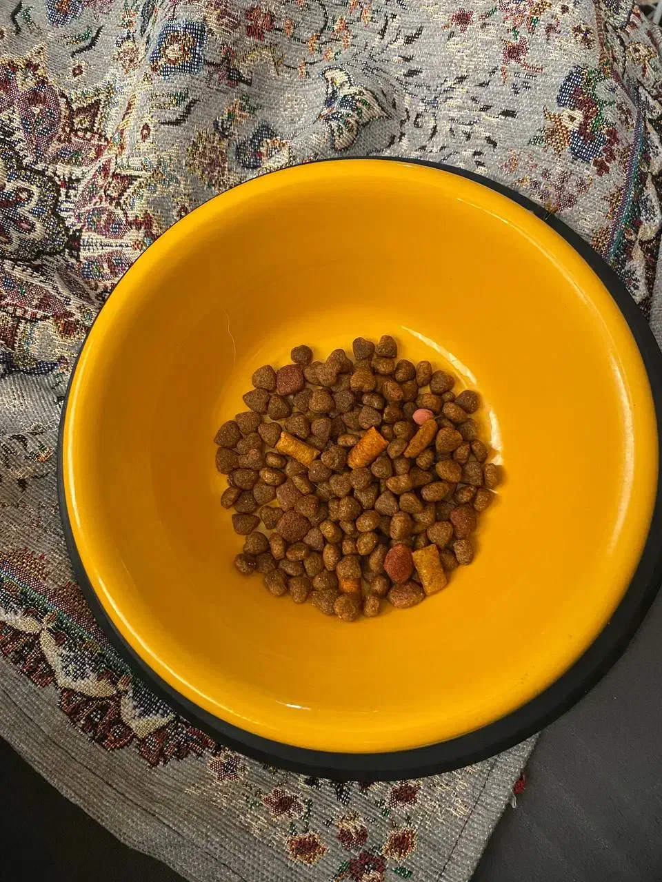 قفس سگ بزرگ و محکم|لوازم جانبی حیوانات|مشهد, توس (بلوار توس)|دیوار