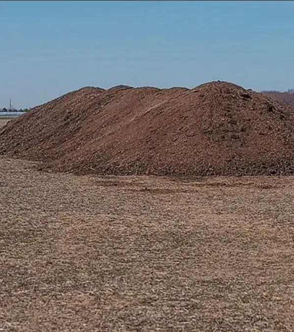 فروش کود بلدرچین|خدمات باغبانی و درختکاری|انار, |دیوار