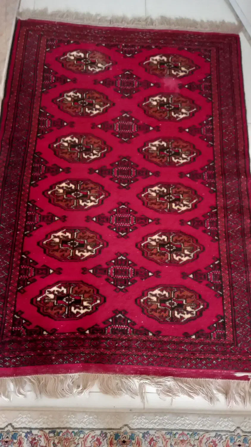 قالیچه دستبافت|فرش|مشهد, دانشجو|دیوار