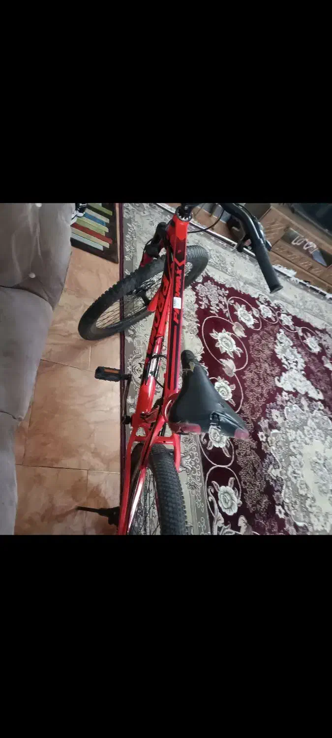 دوچرخه|دوچرخه، اسکیت، اسکوتر|شاهرود, |دیوار