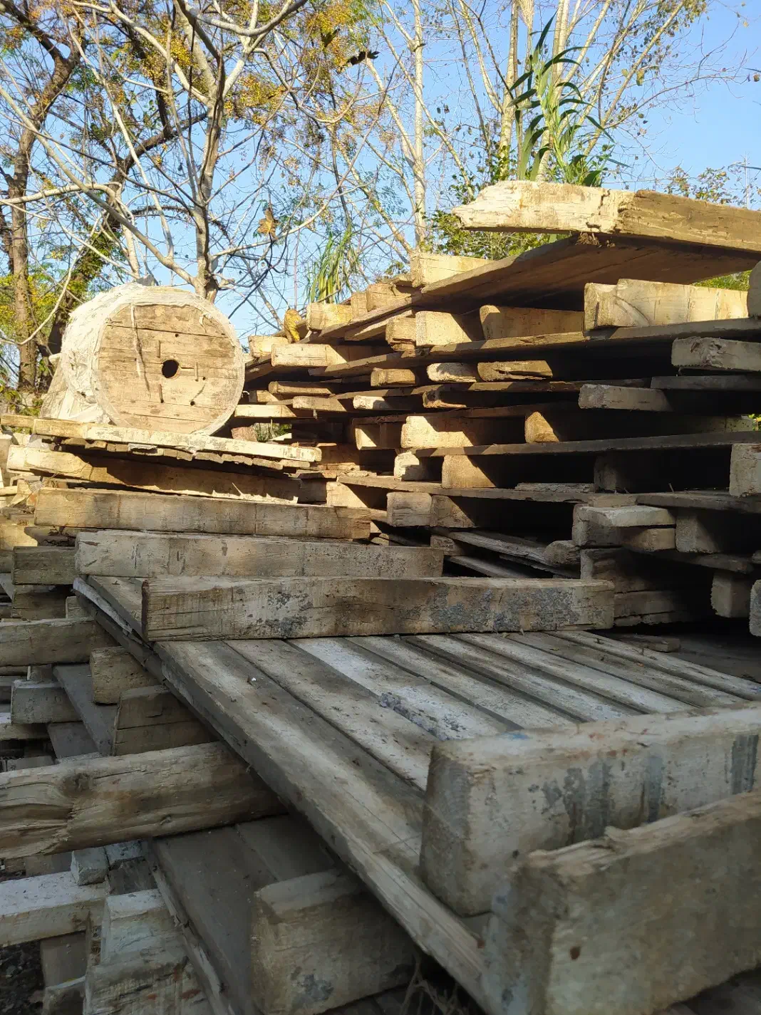 فروش تخته قالب و ۴ تراش قالب بندی|مصالح و تجهیزات ساختمان|محمودآباد, |دیوار