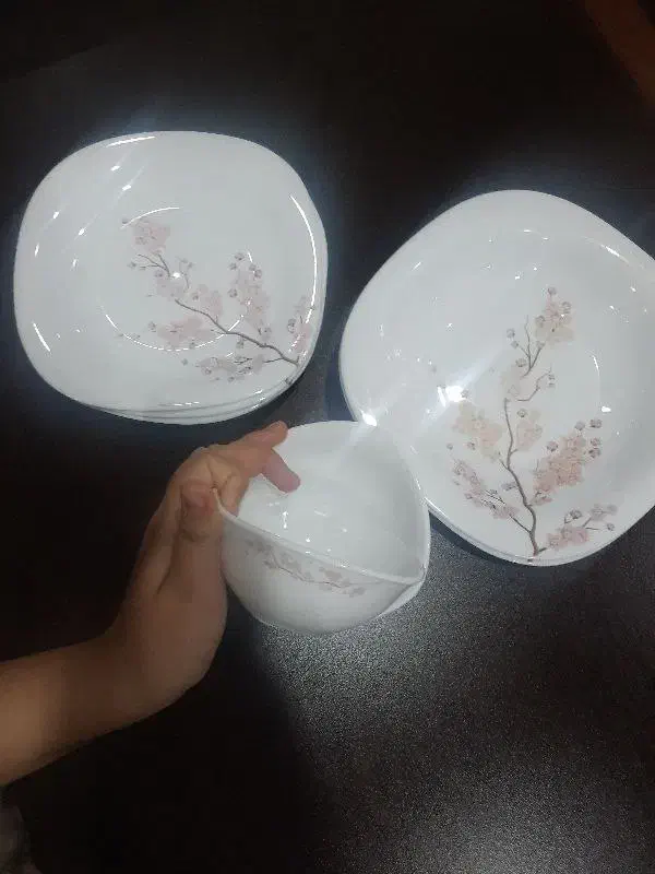 ظروف زیبا و خوش قیمت|ظروف سرو و پذیرایی|مشکیندشت, |دیوار