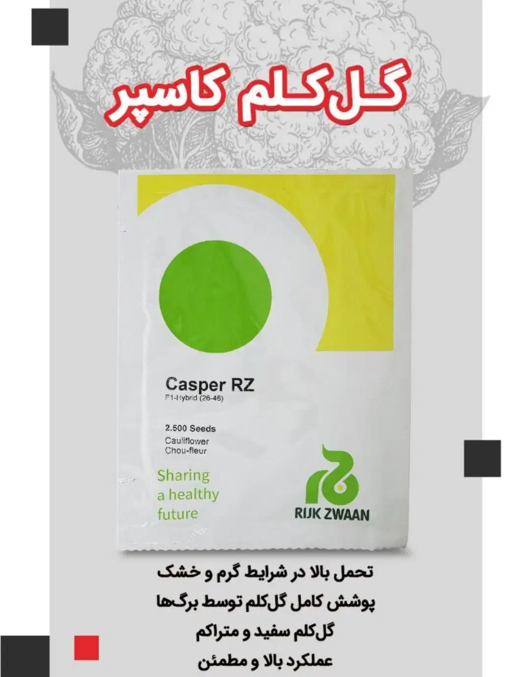 بذر خیار  گل کلم بذر سبزیجات|گل و گیاه طبیعی|قم, تکیه آقا سید حسنی|دیوار