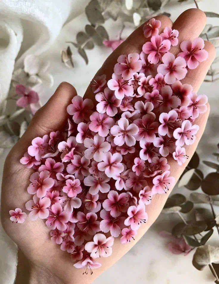 آموزش تخصصی گلسازی در مشهد|خدمات آموزشی|مشهد, امیر المومنین|دیوار