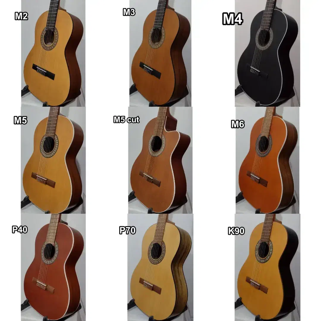 گیتار پارسی|گیتار، بیس، امپلیفایر|تهران, افسریه شمالی|دیوار