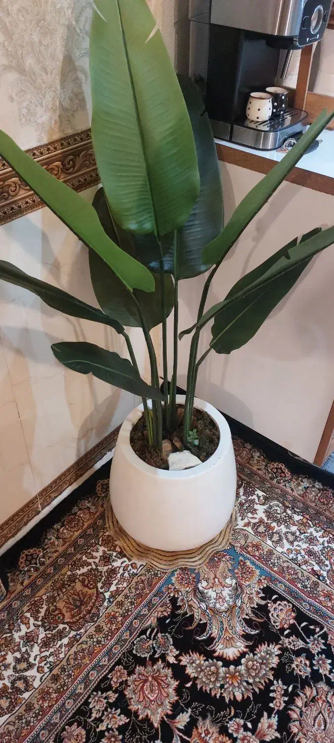 گل مصنوعی|گل مصنوعی|کرمانشاه, |دیوار