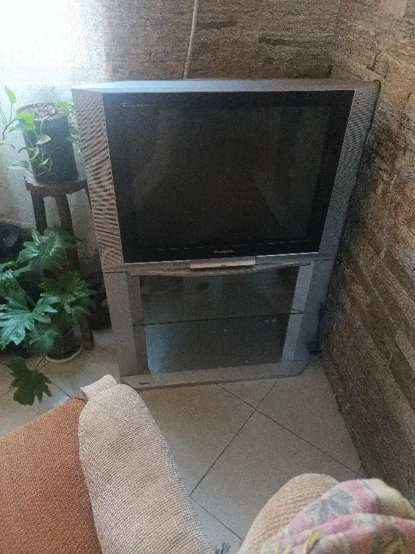 تلویزیون پاناسونیک ۲۹ اینچ|تلویزیون و پروژکتور|تهران, مهرآباد|دیوار