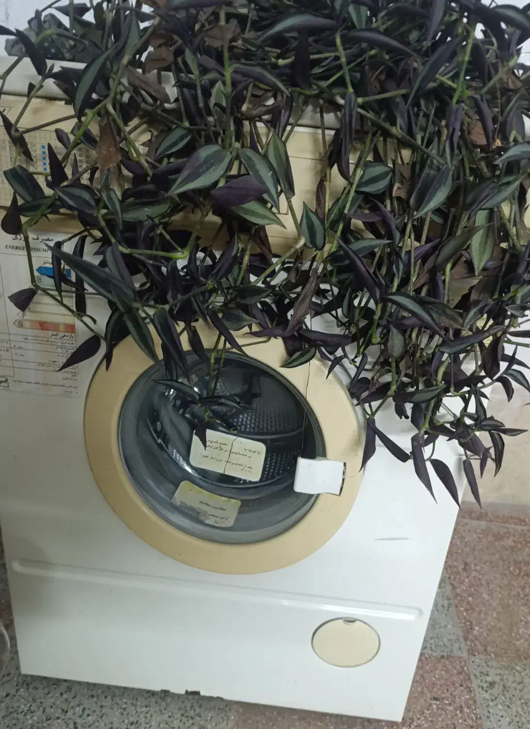 ماشین لباسشویی|ماشین لباسشویی و خشک‌کن لباس|سیاهکل, |دیوار