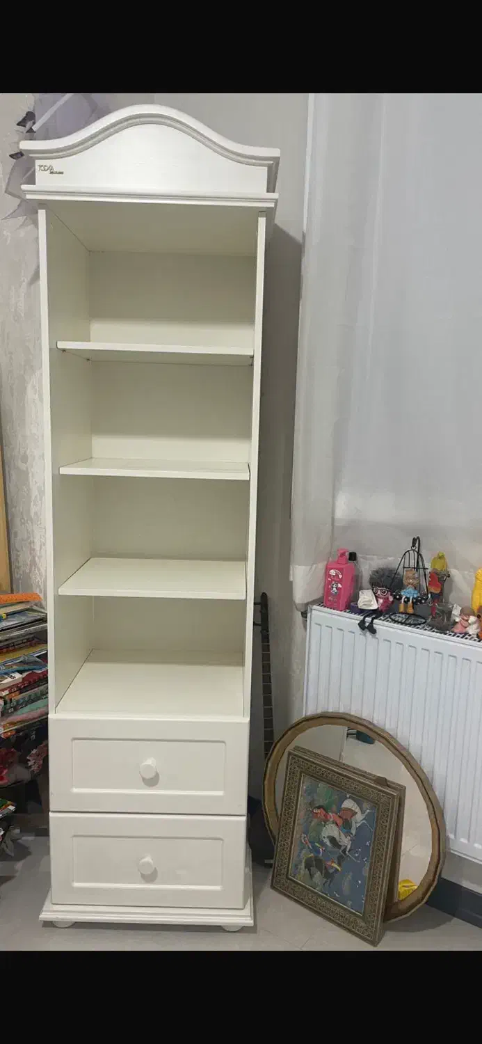 کمد ، کتابخانه|کتابخانه، شلف، قفسه‌های دیواری|شیراز, فرهنگ شهر|دیوار