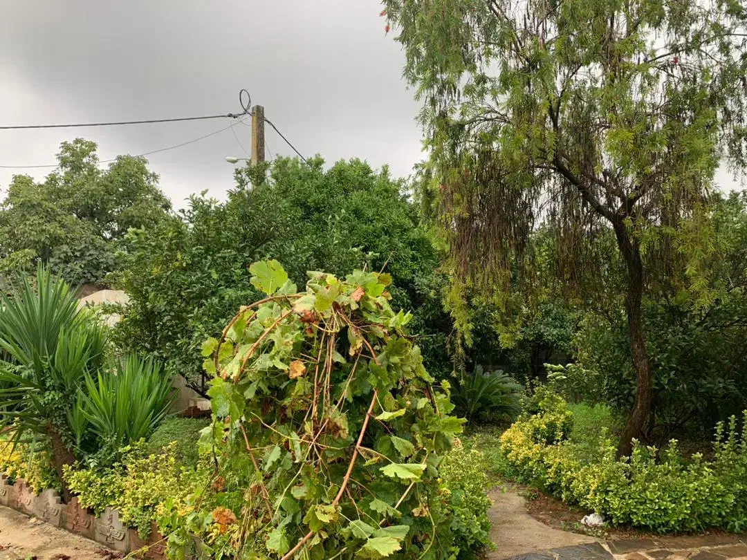 ویلا باغ ۴۷۵ متری /سنددار/رویان /جنگلی|فروش خانه و ویلا|رویان, |دیوار