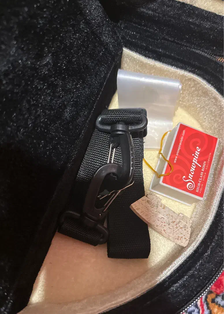 ساز موسیقی ویولن|ویولن|سنندج, |دیوار