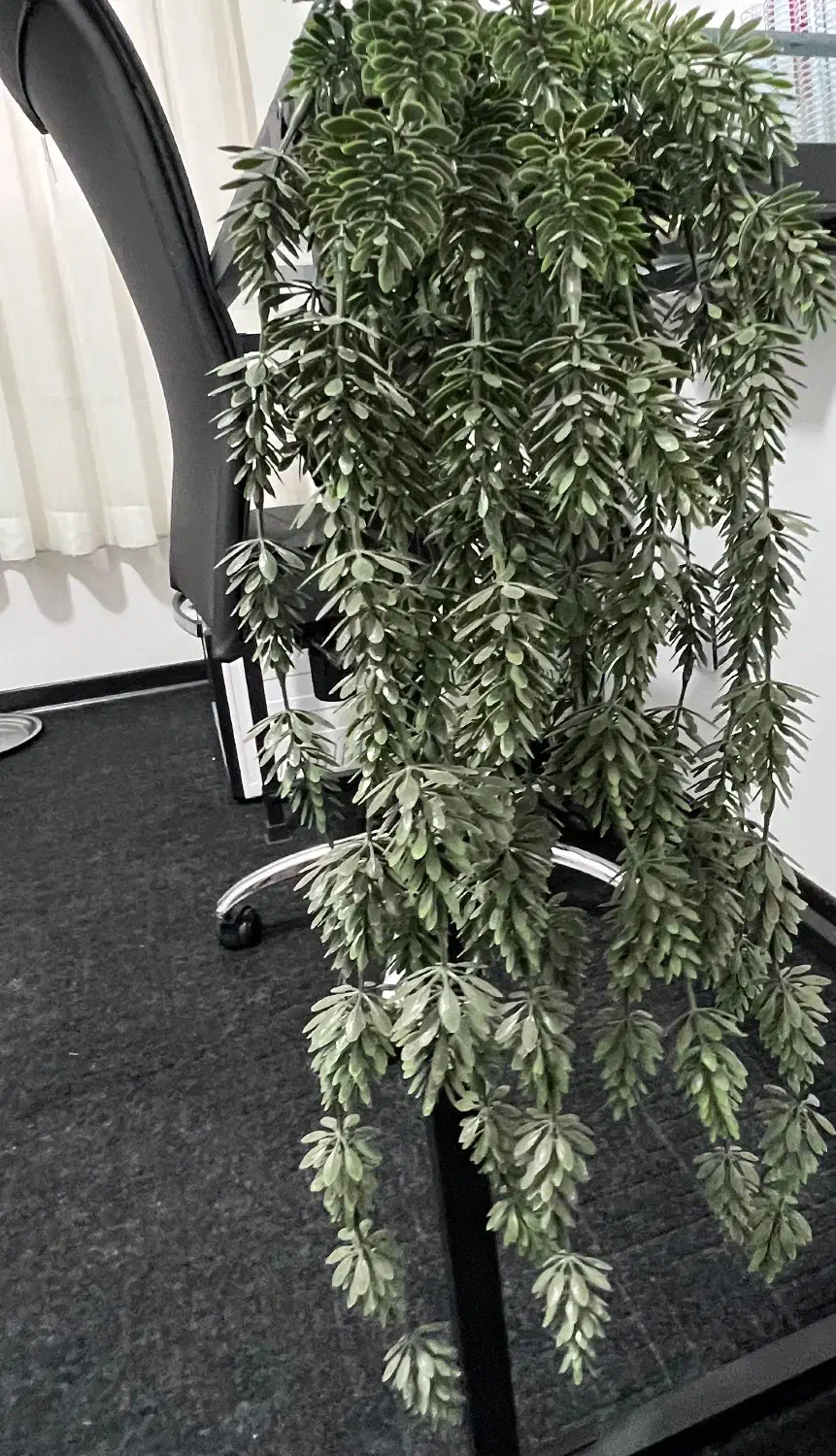 ریسه های گیاه مصنوعی مخصوص دیزاین تراس و اشپزخونه|گل و گیاه طبیعی|فردیس, فرامرزیه|دیوار