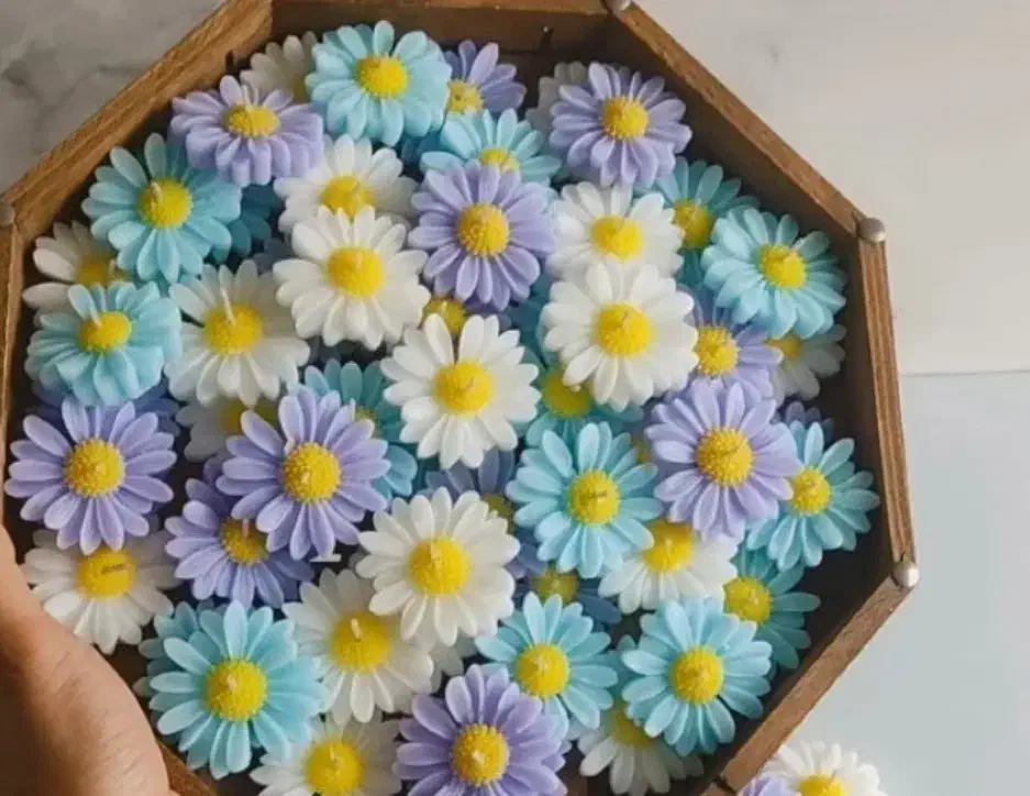 گیفت شمع بابونه|صنایع دستی و سایر لوازم تزئینی|تاکستان, |دیوار