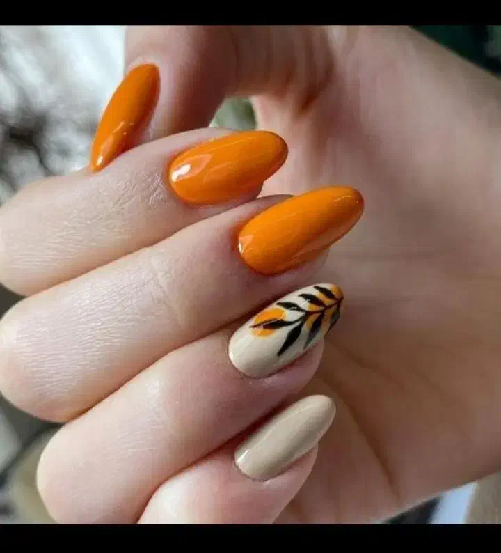 اموزش تخصصی ناخن مدرک فنی حرفه ای|خدمات آموزشی|نیشابور, سید جمال الدین|دیوار