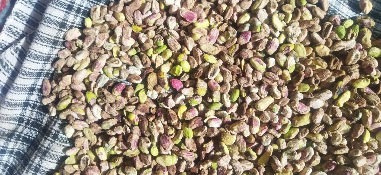 پسته عمده|خوردنی و آشامیدنی|تهران, بازار|دیوار