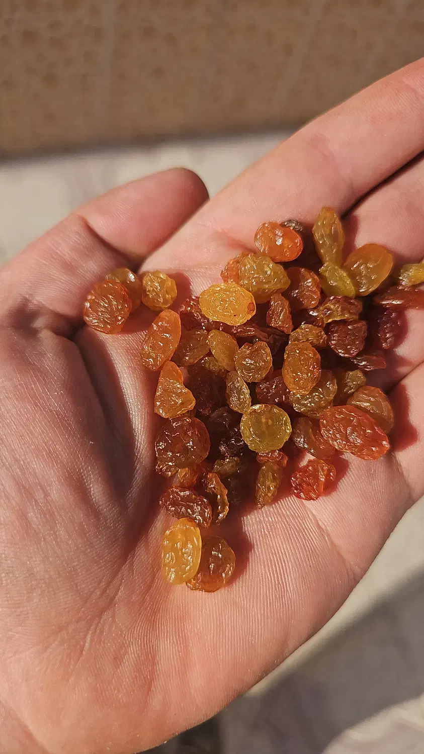 کشمش پلویی خرده یا عمده|خوردنی و آشامیدنی|شیراز, هفت تنان|دیوار