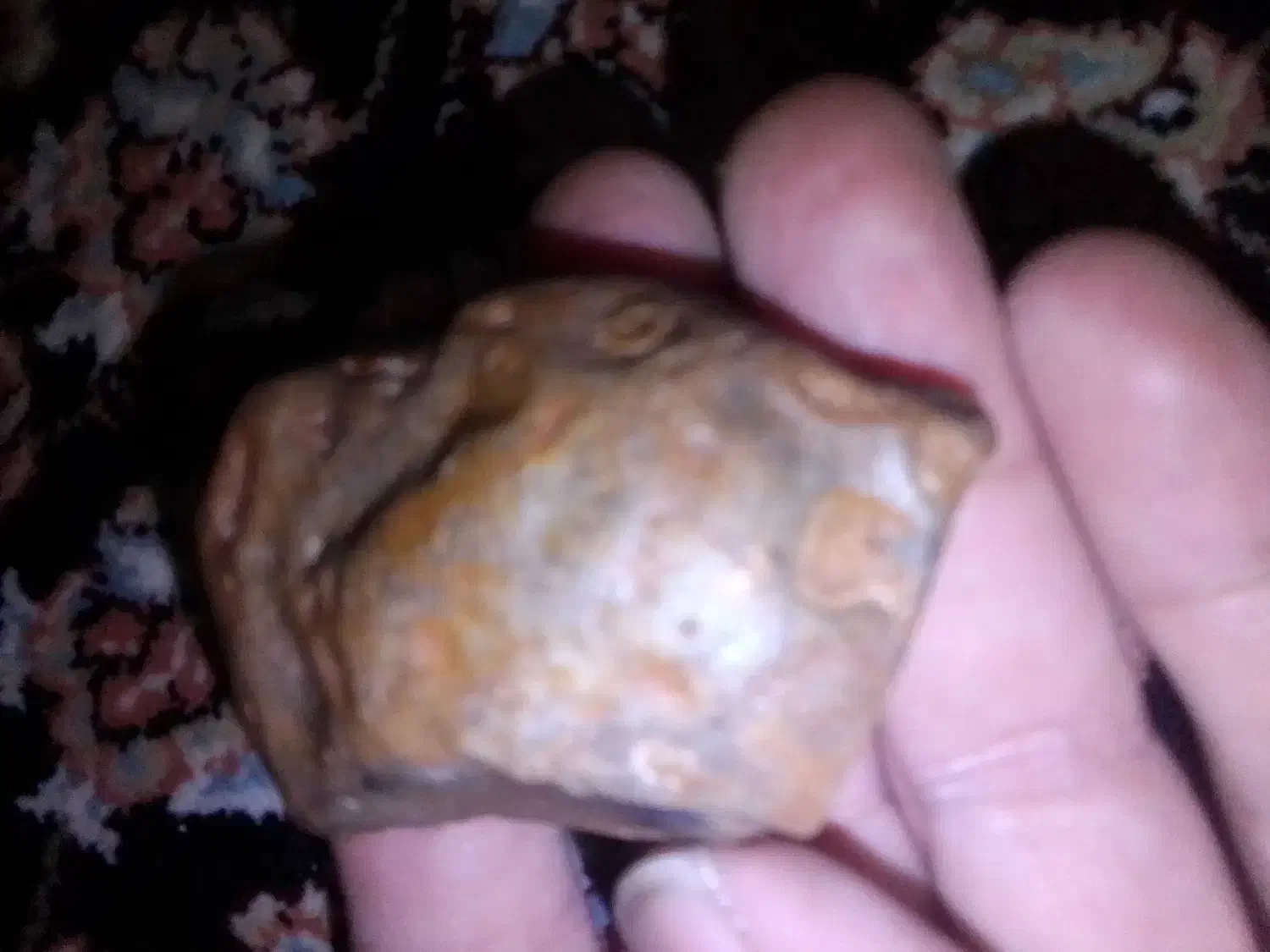 سنگهای قیمتی|کلکسیون اشیاء عتیقه|شیراز, ویلاشهر|دیوار