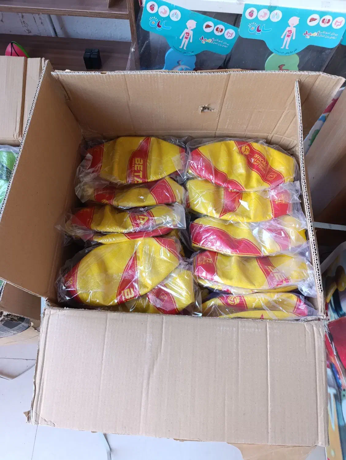 پخش توپ بتا|ورزشهای توپی|سبزوار, شهدا|دیوار